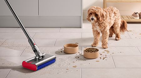 Curăță murdăria animalelor de companie